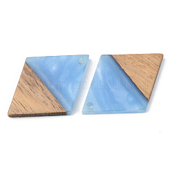 Opaque Resin & Walnut Wood Pendants&nbsp;RESI-S389-012A-C01