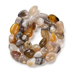 Natural Botswana Agate Beads Strands&nbsp;G-P497-01E-18