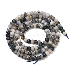 Natural Blue Spot Jasper Beads Strands&nbsp;G-D347-B06