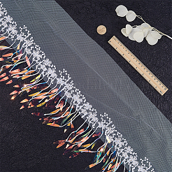 Polyester Tassel Lace Ribbon&nbsp;OCOR-WH20006-02C