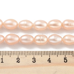 Natural Cultured Freshwater Pearl Beads Strands&nbsp;PEAR-P062-10G