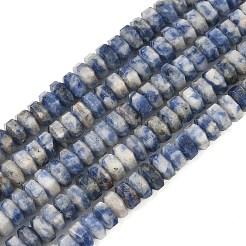 Natural Blue Spot Jasper Beads Strands&nbsp;G-L654-I06-01