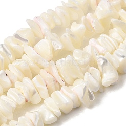 Natural White Mother of Pearl Shell Chip Bead Strands&nbsp;G-M205-63