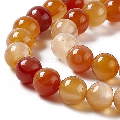 Natural Red Agate Beads Strands&nbsp;G-C011-01C