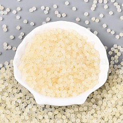 Frosted Glass Seed Beads&nbsp;SEED-N012-01F