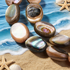 2 Strands Natural Paua Shell Beads Strands&nbsp;BSHE-PA0001-09