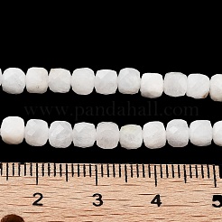 Natural Rainbow Moonstone Beads Strands&nbsp;G-H042-A02-02