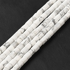 Natural Howlite Beads Strands&nbsp;G-I341-04