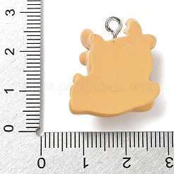 Christmas Theme Opaque Resin Pendants&nbsp;RESI-I344-02P-03