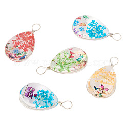 5Pcs Transparent Glass Pendants&nbsp;GLAA-TA0002-82