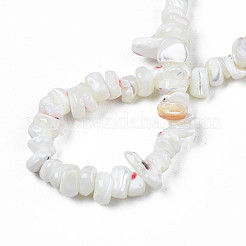 Natural Freshwater Shell Beads Strands&nbsp;SHEL-N003-23