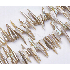 Natural Shell Beads Strands&nbsp;BSHE-P026-25