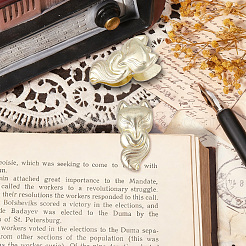 2Pcs Zinc Alloy Clips&nbsp;AJEW-CP0011-09
