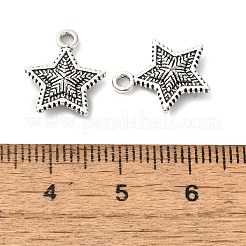 Tibetan style Alloy Charms&nbsp;FIND-Z059-03AS