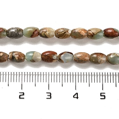 Natural Aqua Terra Jasper  Beads Strands&nbsp;G-F765-I01-01
