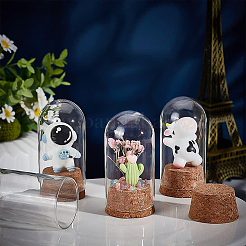 10 set Glass Dome Cover&nbsp;AJEW-BC0003-54A