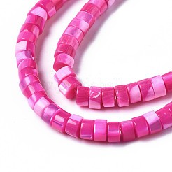 Natural Trochus Shell Beads Strands&nbsp;SHEL-S278-027E