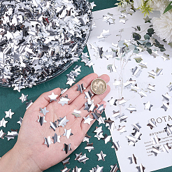 150g PET Plastic Star Confetti&nbsp;DIY-HY0003-66B