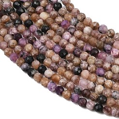 Natural Charoite Beads Strands&nbsp;G-P618-3mm-04