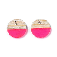 Transparent Resin & Wood Stud Earrings&nbsp;EJEW-N017-003A-D05