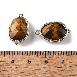 Natural Tiger Eye Faceted Oval Connector Charms&nbsp;G-H323-02G-08