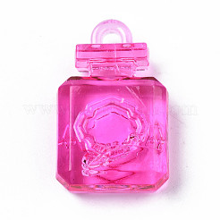 Transparent Acrylic Pendants&nbsp;TACR-S149-18