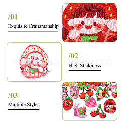 27Pcs Ftuit Patches&nbsp;PATC-TA0001-20