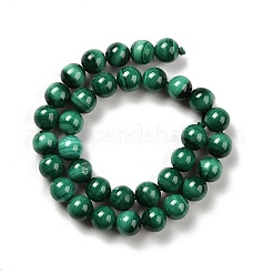 Natural Malachite Beads Strands&nbsp;G-A271-A01-6mm