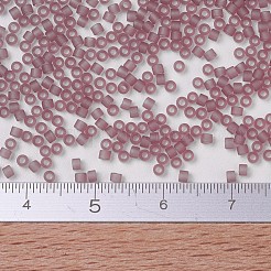 MIYUKI Delica Beads&nbsp;SEED-X0054-DB0765