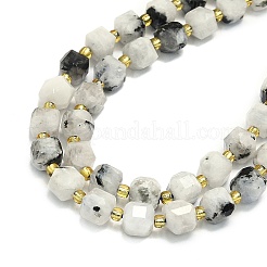 Natural Moonstone Beads Strand&nbsp;G-I376-D81-01