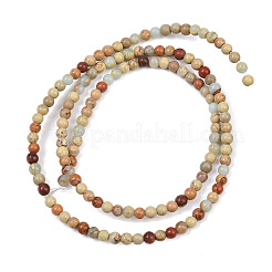 Natural Aqua Terra Jasper Beads Strands&nbsp;G-E444-14B-3mm