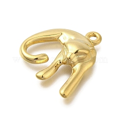 304 Stainless Steel Pendants&nbsp;STAS-U027-06G-02