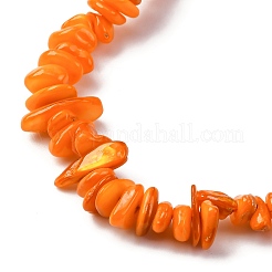 Natural Freshwater Shell Beads Strands&nbsp;BSHE-I016-01C