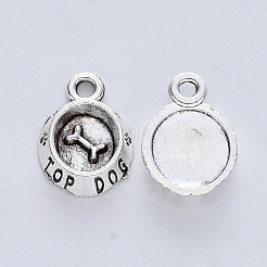 Tibetan Style Alloy Pendants&nbsp;X-TIBE-R316-044AS-RS