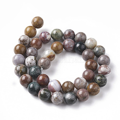 Natural Ocean Jasper Beads Strands&nbsp;G-F668-26-10mm