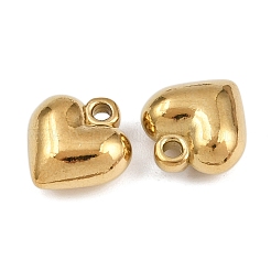 304 Stainless Steel Charms&nbsp;STAS-L303-13G