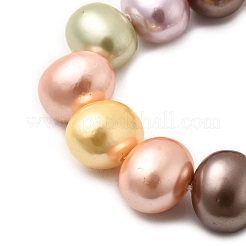Shell Pearl Beads Strands&nbsp;BSHE-F013-01N