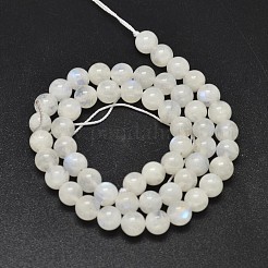 Round Grade A Natural Rainbow Moonstone Bead Strands&nbsp;G-M304-06-7.5mm