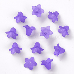 Transparent Acrylic Beads&nbsp;PLF018-15