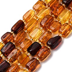 Gradient Color Natural Amber Beads Strands&nbsp;G-F803-D01-02