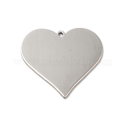 Non-Tarnish 304 Stainless Steel Pendants&nbsp;STAS-D048-02P