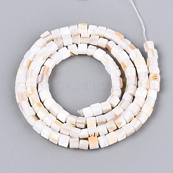 Natural Freshwater Shell Beads Strands&nbsp;SHEL-N027-09A