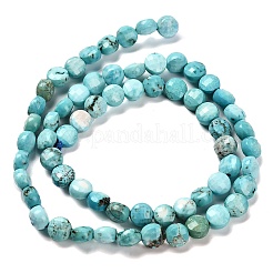 Natural Howlite Beads Strands&nbsp;G-C179-A6mm-27