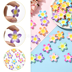 48Pcs 6 Colors Opaque Resin Cabochons&nbsp;RESI-SC0006-25