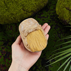 Resin Wild Man's Toe Sculpture Display Decorations&nbsp;DJEW-WH0053-73