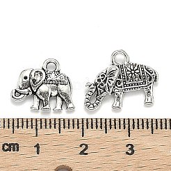 Tibetan Style Alloy Pendants&nbsp;TIBEP-MSMC021-04AS