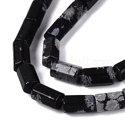 Natural Snowflake Obsidian Beads Strands&nbsp;GG-N002-01A-05
