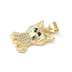 Brass Micro Pave Cubic Zirconia Pendants&nbsp;KK-D426-06G