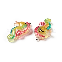 Ocean Theme Transparent Resin Pendants&nbsp;RESI-E024-05P-02