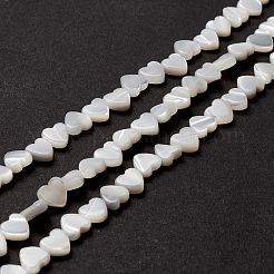 Natural Trochid Shell/Trochus Shell Beads&nbsp;SSHEL-O001-27A
